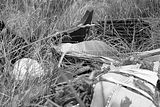 waste deposit_006